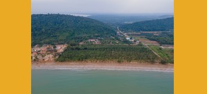 ขายที่ดินติดทะเลหาดส่วนตัว ติดทะเลอ่าวไทย ชุมพร อ่าวทุ่งมะขาม น้ำไฟถนนเข้าถึงครบ 36-3-90ไร่ หาดขาวสะอาด ใกล้แหล่งท่องเที่ยว