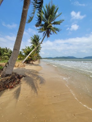 ขายที่ดินติดทะเลหาดส่วนตัว ติดทะเลอ่าวไทย ชุมพร อ่าวทุ่งมะขาม น้ำไฟถนนเข้าถึงครบ 36-3-90ไร่ หาดขาวสะอาด ใกล้แหล่งท่องเที่ยว