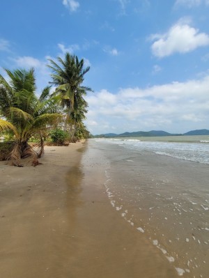 ขายที่ดินติดทะเลหาดส่วนตัว ติดทะเลอ่าวไทย ชุมพร อ่าวทุ่งมะขาม น้ำไฟถนนเข้าถึงครบ 36-3-90ไร่ หาดขาวสะอาด ใกล้แหล่งท่องเที่ยว