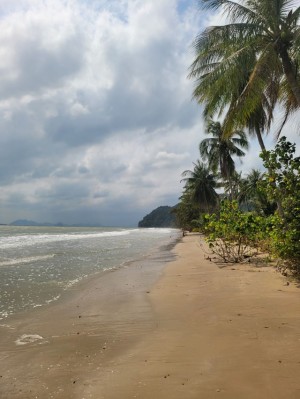 ขายที่ดินติดทะเลหาดส่วนตัว ติดทะเลอ่าวไทย ชุมพร อ่าวทุ่งมะขาม น้ำไฟถนนเข้าถึงครบ 36-3-90ไร่ หาดขาวสะอาด ใกล้แหล่งท่องเที่ยว