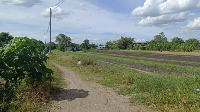 ขาย ที่ดิน 11-1-76 ตร.ว.. ใกล้ถนนราชพฤกษ์ (10)