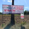 ที่ดิน 3 งาน 78.0 ตรว. ต.ขามทะเลสอ อ.ขามทะเลสอ จ.นครราชสีมา