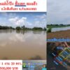 ขายที่ติดแม่น้ำปิง ถมแล้ว 1 ไร่ จ.กำแพงเพชร
