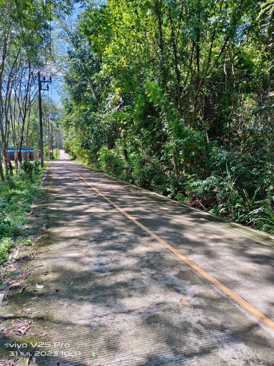 ขายที่ดินบนเกาะ ยาว แปลงโฉนด 6 ไร่ สวยมากๆ ไม่ติดทะเล