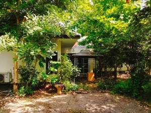 ขายบ้านสวนโพธาราม ราคาถูกมาก! 🌿 6ไร่3งาน ราชบุรี – เจ้าของขายเอง