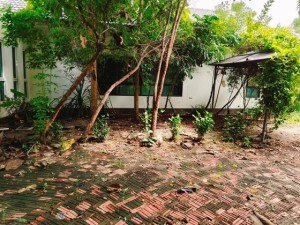 ขายบ้านสวนโพธาราม ราคาถูกมาก! 🌿 6ไร่3งาน ราชบุรี – เจ้าของขายเอง