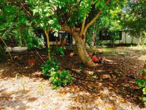 ขายบ้านสวนโพธาราม ราคาถูกมาก! 🌿 6ไร่3งาน ราชบุรี – เจ้าของขายเอง