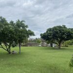 ให้เช่าที่ดินแปลงสวย ติดถนนท่าข้าม เพียง ไร่ละ 23,000 บาท