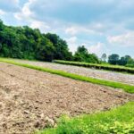 ขายที่ดิน พร้อมบ้าน เนื้อที่ 58 ตร.ว. ที่ดินอีก 2 ไร่ ดอนแร่ ราชบ