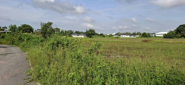 ขายที่ดิน สระบุรี 11-3-25ไร่ แบ่งขายมีทั้งที่ถมและยังไม่ถม ใกล้ชุ