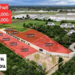 ขายที่ดินเริ่ม50ว. 375ส. สาธารณูปโภค บวกค้าง สันกำแพง เชียงใหม่