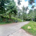 ที่ดินสวยติดน้ำตก ลิปะน้อย เกาะสมุย ใกล้ตลาดสีฟ้า เหมาะลงทุนรีสอร