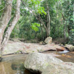 Land Big Plot For Sale in Koh samui