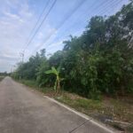 sss502 ขายที่ดิน คลอง 3 คลองหลวง ใกล้วัดธรรมกาย