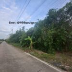 sss503 ขายที่ดิน คลอง 3 คลองหลวง ใกล้วัดธรรมกาย