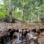 For Sale or Long Lease: 3 Rai of Prime Land Area of Koh Samui