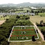 ขายที่ดินโฉนดครุฑแดงหนองสาหร่าย จังหวัดนครราชสีมา