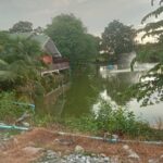 บ้านชั้นเดี่ยว เล่นระดับ 50ตรว. วิวบ่อปลา อยู่อ.บางเลน นครปฐม