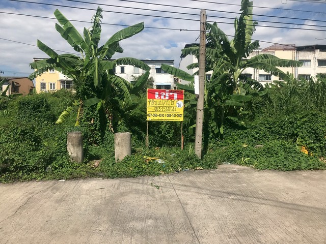 ให้เช่าที่ดิน 1-2-0 ไร่ ถมแล้ว ทำเลดี ซอยลำลูกกา 51