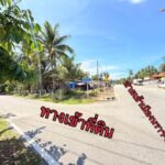 ขาย:ที่ดิน สวย ทำเลทอง โอกาสดี ทำเลทอง