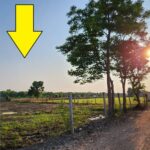 ขายที่ดินคลอง 12 หนองเสือ 361 ตรว ราคาถูก