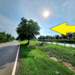 ขายที่ดินติดเรียบคลองรังสิต คลอง 12 ธัญบุรี ขายใกล้ราคาประเมิน