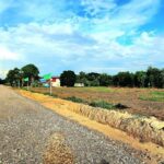 ขายที่ดินถมแล้ว 200 ตรว คลอง14 หนองเสือ ราคาเจ้าของเลยค่ะ