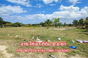 ขาย,ที่ดิน,ขาย ที่ดินเปล่า ชะอำ เพชรบุรี 3 ไร่ ที่สวย ใกล้หัวหิน,ขาย ที่ดินเปล่า ชะอำ เพชรบุรี 3 ไร่ ที่สวย ใกล้หัวหิน,มือสอง,ซอยบ่อแขม,บ่อแขม ชะอำ,ที่ดินเปล่า