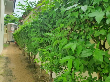 ขายบ้านเดี่ยวศรีราชา ราคาพิเศษ เจ้าของขายเอง รีบซื้อก่อนปรับราคา!