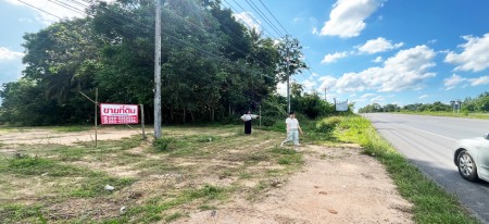 ขายที่ดินทำเลทอง พัทลุง ติดถนนเพชรเกษม ทุ่งนารี ป่าบอน ทำเลดี ราคาถูก คุ้มสุดในย่านนี้!