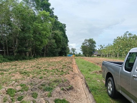 ที่ดินทำเลทอง ติดถนนเพชรเกษม ทุ่งนารี ป่าบอน ทำเลดี ราคาถูก