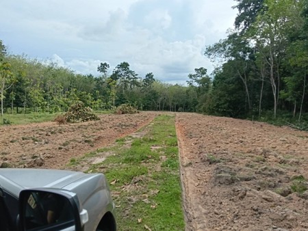 ขายที่ดินทำเลทอง พัทลุง ติดถนนเพชรเกษม ทุ่งนารี ป่าบอน ทำเลดี ราคาถูก คุ้มสุดในย่านนี้!