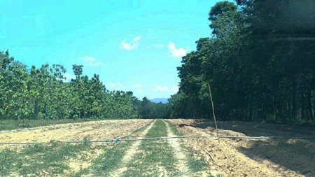 ที่ดินว่างเปล่าทำเลเด่น ต.ทุ่งนารี อ.ป่าบอน จ.พัทลุง