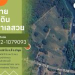 ขายที่ดินเปล่าในจ.ลำพูน ด้านหน้าติดถนนใหญ่ ติดแม่น้ำ พื้นที่สวย ทำเลดี อยู่ในเขตชุมชน ปลอดภัย ห่างจากสถานที่ราชการไม่เกิน 700 เมตร