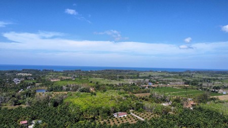 ขายที่ดินโคกกลอย ใกล้หาดนาใต้ พังงา ราคาคุ้มค่า เหมาะทำบ้านพักตากอากาศ โฉนดพร้อมโอน