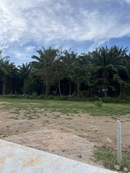 ขายที่ดินโคกกลอย ใกล้หาดนาใต้ พังงา ราคาคุ้มค่า  เหมาะทำบ้านพักตากอากาศ โฉนดพร้อมโอน