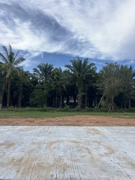 ขายที่ดินโคกกลอย ใกล้หาดนาใต้ พังงา ราคาคุ้มค่า  เหมาะทำบ้านพักตากอากาศ โฉนดพร้อมโอน