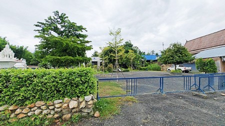 ขายที่ดินเชียงใหม่ ตั้งอยู่ตำบลขี้เหล็ก อำเภอแม่ริม เชียงใหม่ น้ำไม่ท่วม