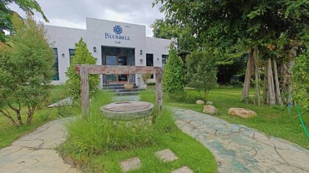 ขายที่ดินเชียงใหม่ แม่ริม ติดถนนหลัก 505 ตร.ว. พร้อมร้าน วิวภูเขา