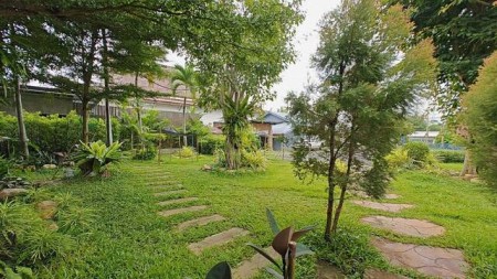 ขายที่ดินเชียงใหม่ แม่ริม ติดถนนหลัก 505 ตร.ว. พร้อมร้าน วิวภูเขา