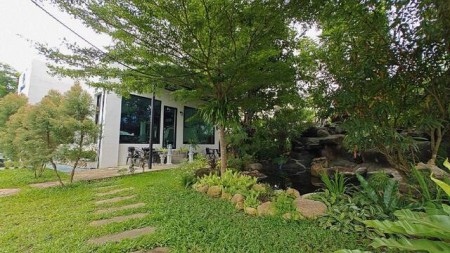 ขายที่ดินเชียงใหม่ แม่ริม ติดถนนหลัก 505 ตร.ว. พร้อมร้าน วิวภูเขา