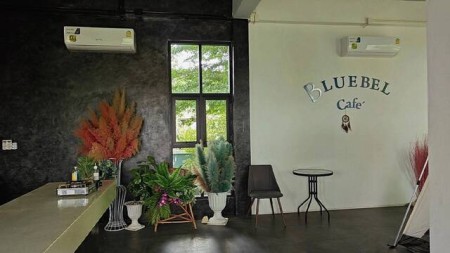 ขายที่ดินเชียงใหม่ แม่ริม ติดถนนหลัก 505 ตร.ว. พร้อมร้าน วิวภูเขา