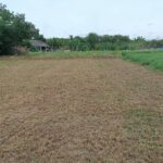 ขายที่ดิน