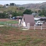 ขายที่ดินเพชรบูรณ์