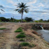 ขาย ที่ดิน ใกล้ตัวเมืองลพบุรี เหมาะลงทุนระยะยาว ที่ดินผืนใหญ่ราคาถูกลพบุรี ขายที่ดิน36ไร่ ถูกกว่าใกล้เคียง