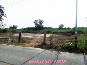 ที่ดิน ขาย ขายถูก ที่ดินธัญบุรีคลอง6,หรือปทุมธานี เหมาะทำหมู่บ้านจัดสรร เหมาะจัดสรรแบ่งขาย, โครงการเชิงพาณิชย์