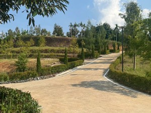 ที่ดิน ขาย Durian-Farm-Investment-Chanthaburi- ลงทุนทุนสวนเรียน-จันทบุรี-รับรายได้ทันทีจากผลผลิต CheaperthanOthersbyMillions- 泰国尖竹汶府榴莲果园投资立即 泰国榴莲果园投资