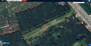 ที่ดิน ขาย อสังหาพัทลุงราคาคุ้มสุด ที่ดินป่าบอนถูกกว่าใกล้เคียง ติดถนนเพชรเกษม พร้อมไฟฟ้าน้ำประปา ที่ดินพัทลุงราคาถูก